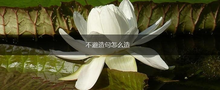 不避造句怎么造,第1张