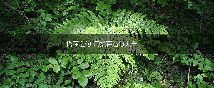 搭茬造句_用搭茬造句大全,第1张