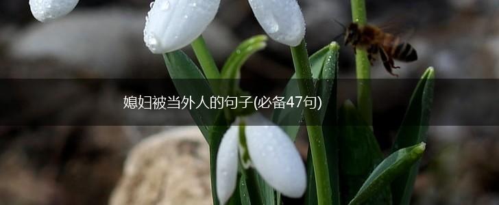 媳妇被当外人的句子(必备47句),第1张
