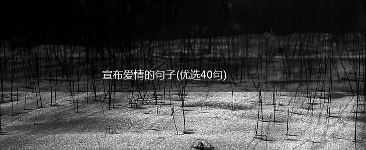 宣布爱情的句子(优选40句),第1张