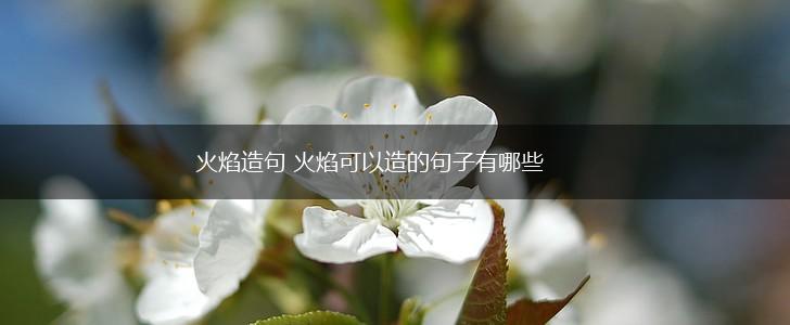 火焰造句 火焰可以造的句子有哪些,第1张