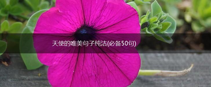 天使的唯美句子纯洁(必备50句),第1张