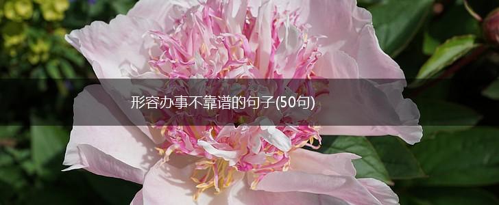 形容办事不靠谱的句子(50句),第1张