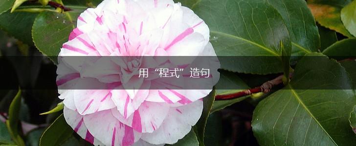 用“程式”造句,第1张