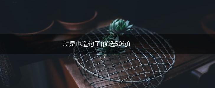 就是也造句子(优选50句),第1张