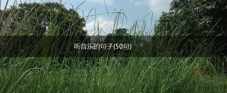 听音乐的句子(50句),第1张