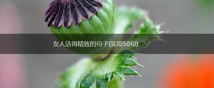 女人活得精致的句子(实用50句),第1张
