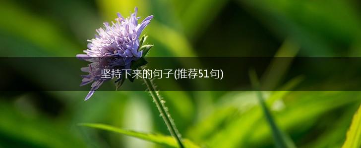 坚持下来的句子(推荐51句),第1张