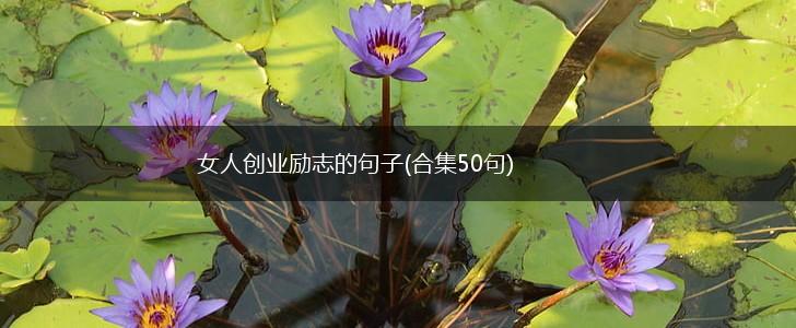 女人创业励志的句子(合集50句),第1张