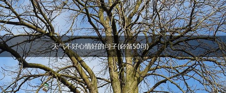 天气不好心情好的句子(必备50句),第1张