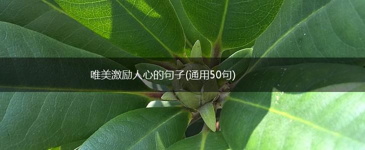 唯美激励人心的句子(通用50句),第1张
