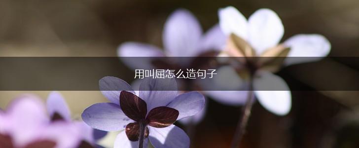 用叫屈怎么造句子,第1张