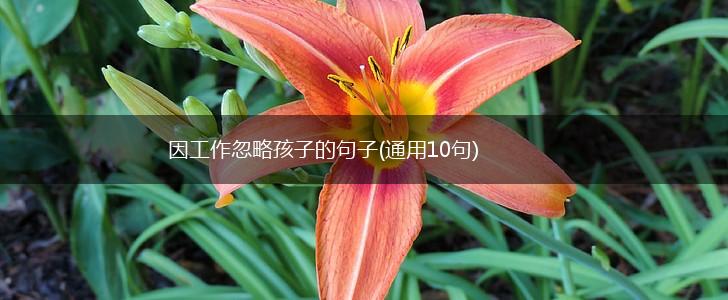 因工作忽略孩子的句子(通用10句),第1张