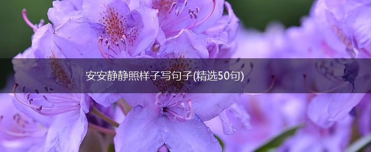 安安静静照样子写句子(精选50句),第1张