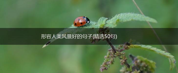 形容人美风景好的句子(精选50句),第1张