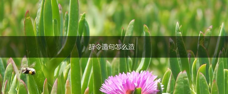 辞令造句怎么造,第1张
