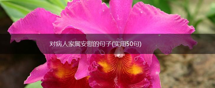 对病人家属安慰的句子(实用50句),第1张