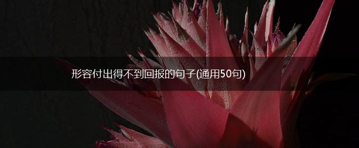 形容付出得不到回报的句子(通用50句),第1张
