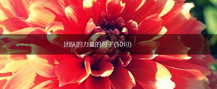团队的力量的句子(50句),第1张