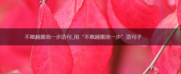 不敢越雷池一步造句_用“不敢越雷池一步”造句子,第1张