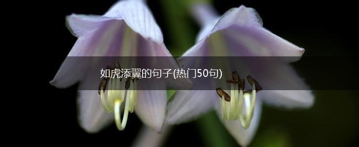 如虎添翼的句子(热门50句),第1张