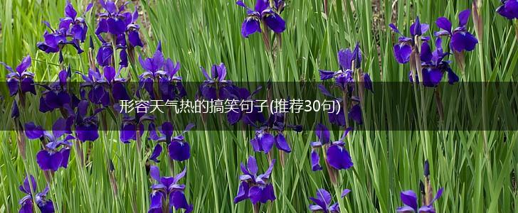 形容天气热的搞笑句子(推荐30句),第1张