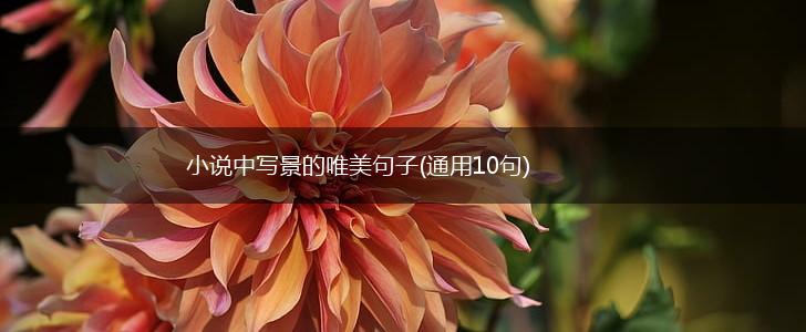 小说中写景的唯美句子(通用10句),第1张