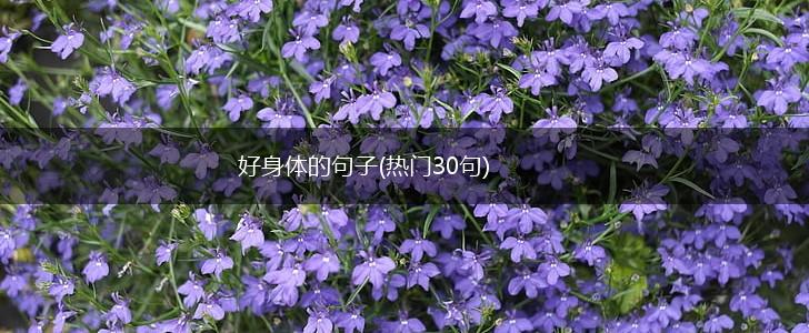 好身体的句子(热门30句),第1张