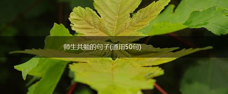 师生共勉的句子(通用50句),第1张
