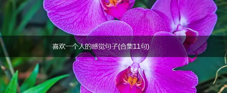 喜欢一个人的感觉句子(合集11句),第1张