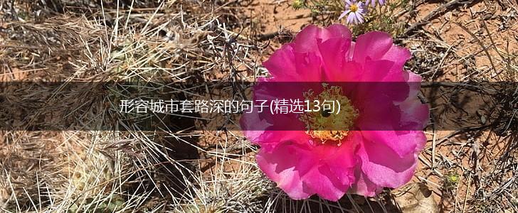 形容城市套路深的句子(精选13句),第1张