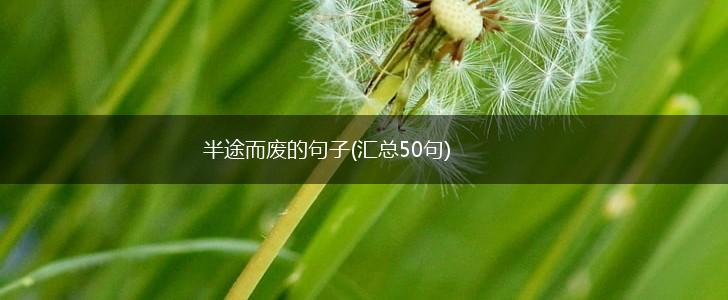 半途而废的句子(汇总50句),第1张