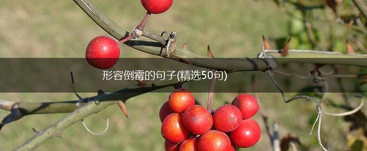 形容倒霉的句子(精选50句),第1张
