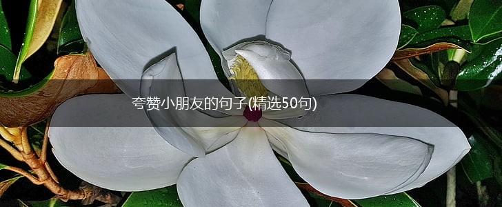 夸赞小朋友的句子(精选50句),第1张