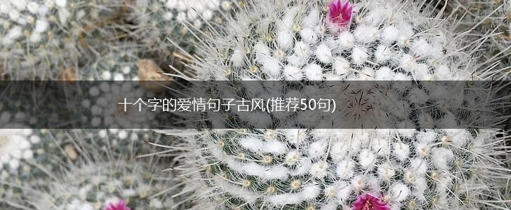 十个字的爱情句子古风(推荐50句),第1张
