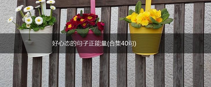 好心态的句子正能量(合集40句),第1张