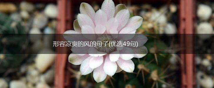 形容凉爽的风的句子(优选49句),第1张