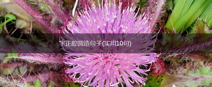 字正腔圆造句子(实用10句),第1张