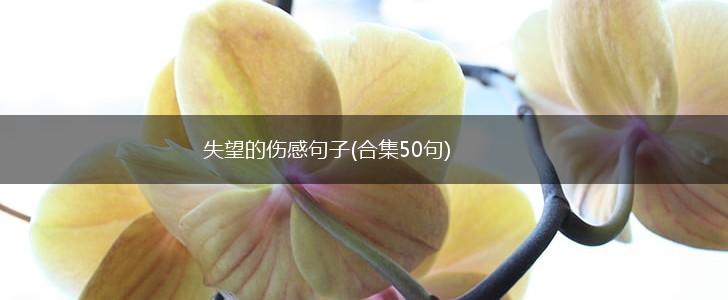 失望的伤感句子(合集50句),第1张