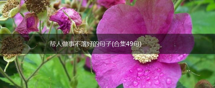 帮人做事不落好的句子(合集49句),第1张