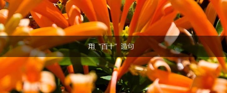 用“百十”造句,第1张