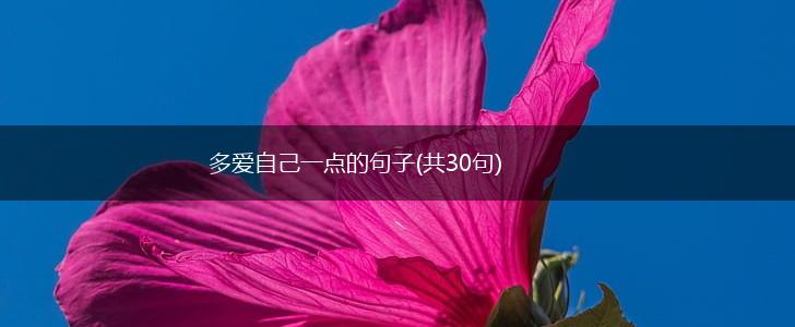 多爱自己一点的句子(共30句),第1张