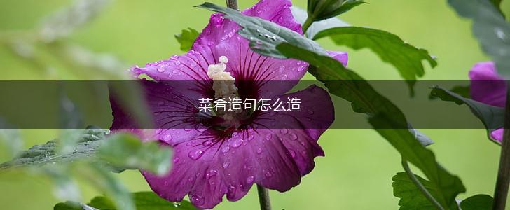 菜肴造句怎么造,第1张
