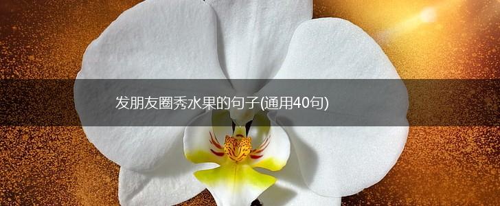 发朋友圈秀水果的句子(通用40句),第1张