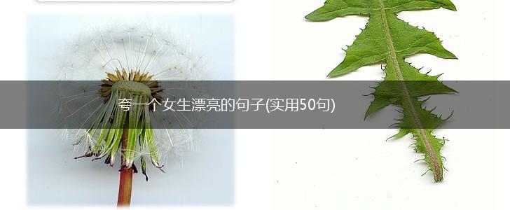 夸一个女生漂亮的句子(实用50句),第1张