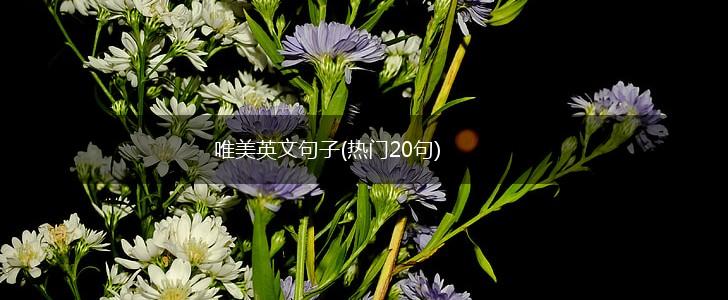 唯美英文句子(热门20句),第1张
