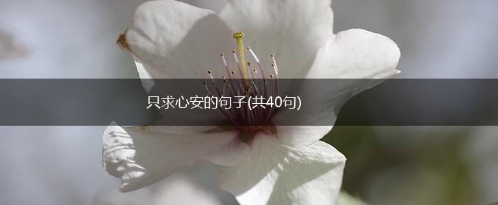 只求心安的句子(共40句),第1张