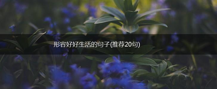 形容好好生活的句子(推荐20句),第1张