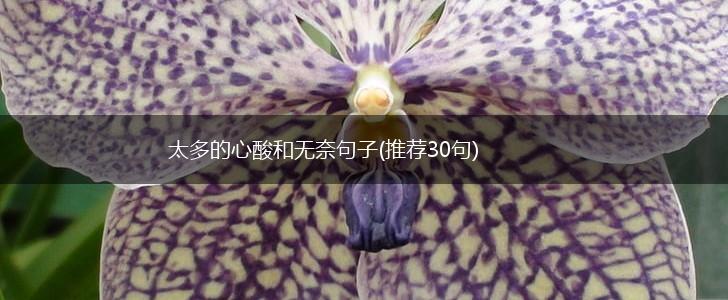太多的心酸和无奈句子(推荐30句),第1张