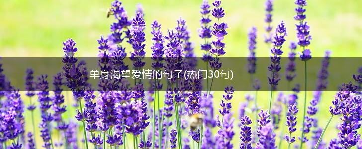 单身渴望爱情的句子(热门30句),第1张
